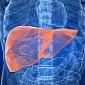 Weight-Loss Surgery Found to Benefit the Liver