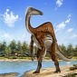 Weird Dinosaur Looked like the Hunchback of Notre Dame