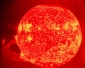 Weird Solar Oscillations Triggered by Solar Flares