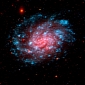 Weird Stellar Pair Seen in Spiral Galaxy
