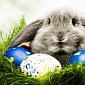 Weird and Funny Easter Traditions from Around the World