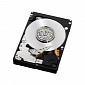 Western Digital Xe 2.5-Inch HDD Mounted in 3.5-Inch Performance Adapter