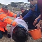 Whale Beaches in Cornwall, Rescuers Desperately Try to Rescue It
