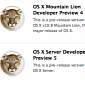 What Apple Needs to Solve in OS X Mountain Lion DP4