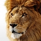 What’s New in OS X Lion 10.7.4 Client & Server