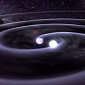 White Dwarfs Produce Gravitational Waves