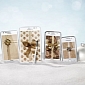 White Galaxy Note, S Plus, S II, Y and Ace Coming Soon to Germany