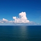 Why Oxygen-Rich Oceanic Waters Produce Methane