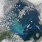 Why Phytoplankton Blooms Occur