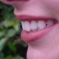 Why We Grow Our Teeth in Single Rows