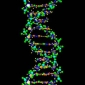Wikipedia Reveals to You the Human Genome
