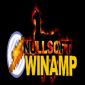 WinAMP Flaw Discovered