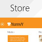 Windows 8.1 Preview Bugs: Windows Store Not Working