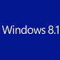Windows 8.1 Preview Panorama Support Shown on Video