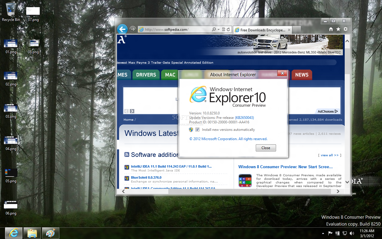 internet explorer in windows 10