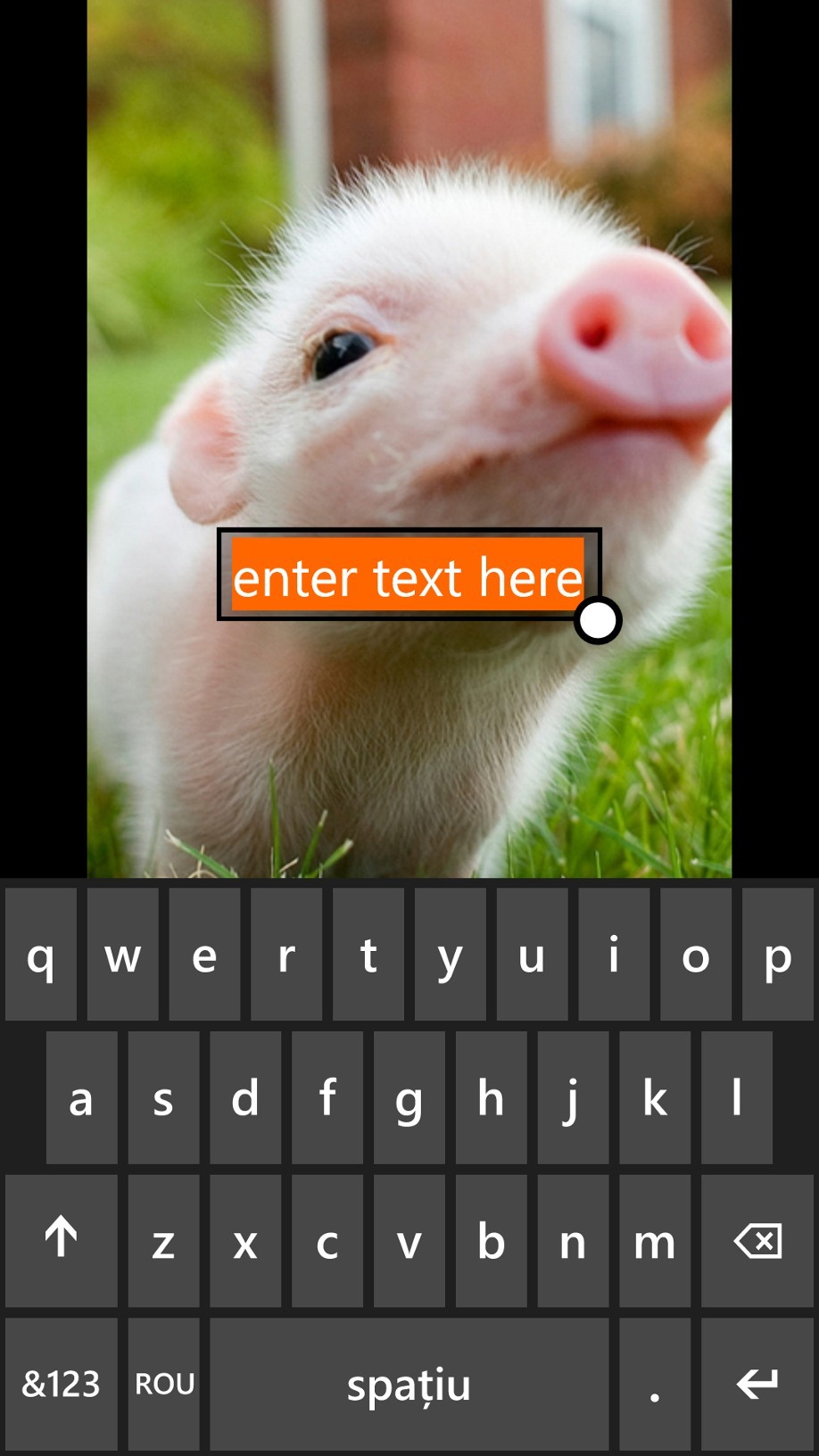 how to add text to photos windows 8