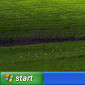 Windows XP Losing More Users on a Daily Basis