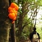 With These Trail Markers You'll Never Get Lost in the Woods Again – Video
