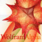 Wolfram|Alpha Launched Live on Justin TV