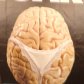 A Woman's Brain Needs Sex Hormones