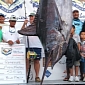 Woman Bags $1.2 (€860K) Million Marlin in Mexico Tournament