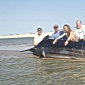 Woman Catches 1,000-Pound (450-Kg) Black Marlin in Africa