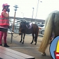 Woman Fined for Bringing Horse at McDonald's