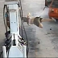 Woman Gets Thrown to the Ground During Gas Theft in Australia