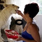 Woman Keeps 8-Month-Old Lion as Pet