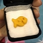 Woman Spots Sign of God in Goldfish Cracker – Photo