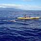 Woman Takes Record for Swimming Between Lanai and Maui, Sharks Approach Her