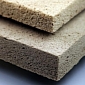 Wood Foam Can Prove an Efficient, Eco-Friendly Insulator, Scientists Say