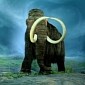 Woolly Mammoth DNA Successfully Inserted in Living Elephant Cells