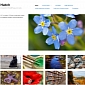 WordPress.com Debuts Portfolio Sites for Photographers, Illustrators