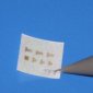 World's First Transistor with Paper Interstrate Created