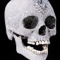 World's Most Expensive Piece of Contemporary Art: Diamond-encrusted Skull Sold for $100 Million!