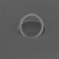 World's Smallest Diamond Ring