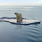 World Celebrities Join Greenpeace in Creating Arctic Sanctuary