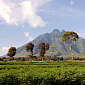 World Heritage Committee Demands That Virunga Oil Permits Be Canceled