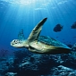 World Oceans Day Celebrated This June 8
