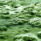 World's First Algae-Based Laundry Liquid Will Become Available in August