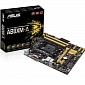 World's First Motherboards for AMD FM2+ APUs Launched by ASUS