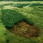 World's Highest Deforestation Rates Recorded in Malaysia
