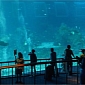 World's Largest Aquarium Opens in Singapore