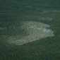 World's Largest Beaver Dam Is Visible from Orbit