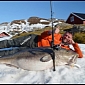 World's Largest Cod Caught in Norway, Weighs 103 Pounds (47 Kg)