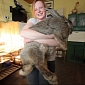 World's Largest Rabbit Eats £50 ($76 / €60) Worth of Food Weekly