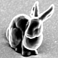 World's Tiniest Bunny Is the Size of a Single Bacterium