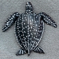 Leatherback Turtles Are Threatened by Climate Change