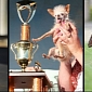 World's Ugliest Dog – Which of the Last Three Winners Is Uglier?